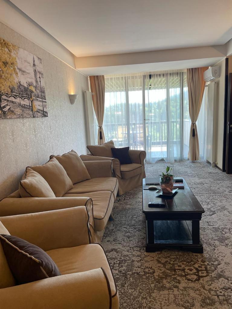 Apartament Executive Vedere Munte Alpin Resort Poiana Brasov Exterior foto