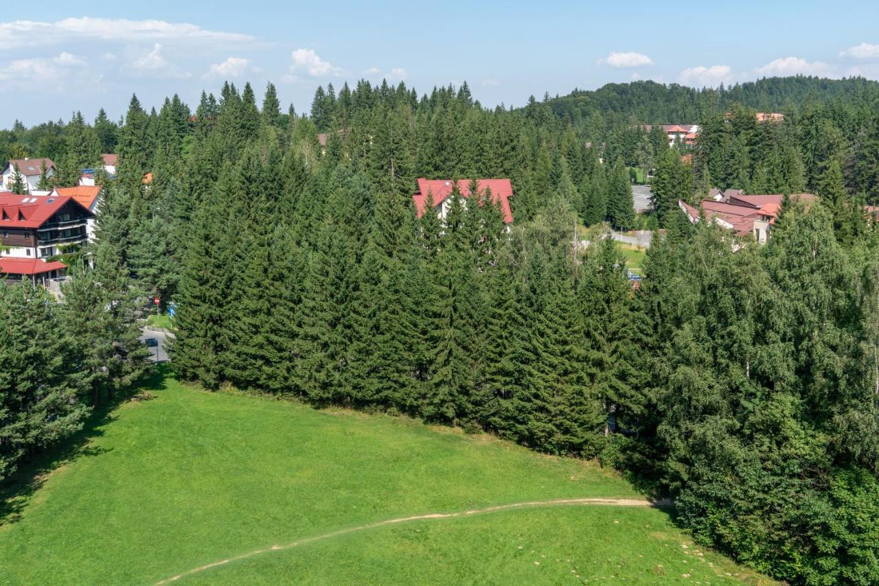 Apartament Executive Vedere Munte Alpin Resort Poiana Brasov Exterior foto